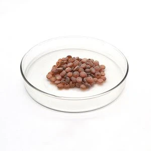 Purgber Antioxidant TMQ 26780-96-1